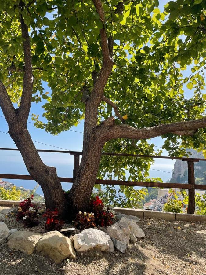 La Villa Di Enzo Casa Vacanze Con Vista Mare Amalfi Exterior photo